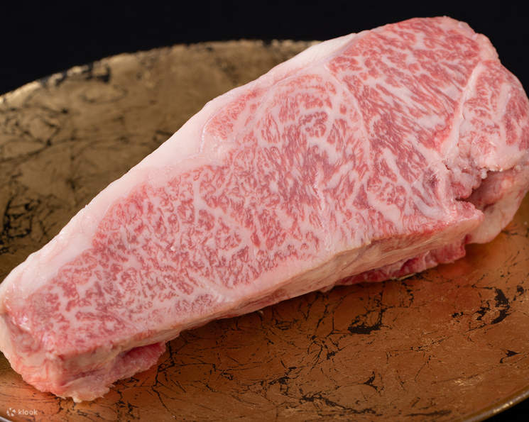 Dotonbori Seafood Teppanyaki Kobe Beef Wanomiya Osaka Dotonbori Main Store