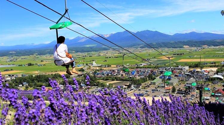 屋外遊具 Canola flower Canola-Blossom Fields at the Foot of Mount Iwaki