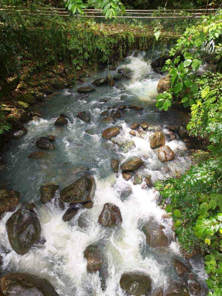 Kinabalu Park & Poring Hot Spring Tagestour in Sabah