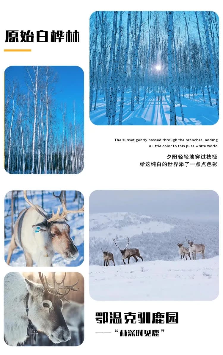 8 days and 7 nights north of Mohe Snow Country in Northeast China Klook Singapore