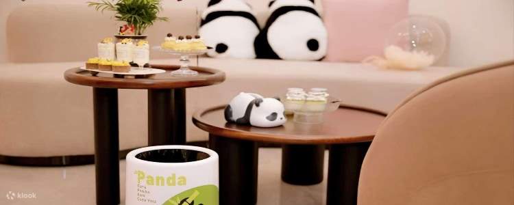 温馨舒適的環境搭配國寶熊貓玩偶的佈置，體驗天府之國的獨特韻味