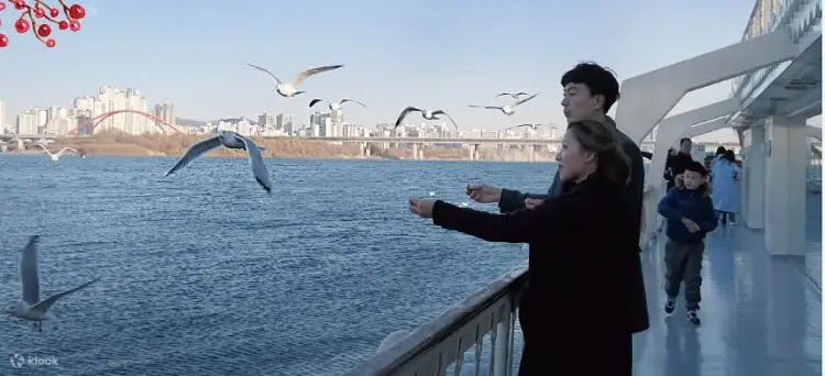 给蓝天下飞翔的海鸥一些零食吧！