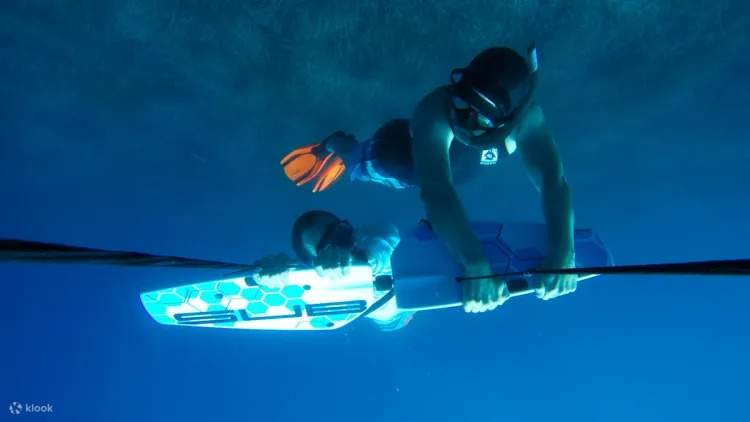 水上スキー＆サブウィング体験（専用車送迎付き）－フルガダ