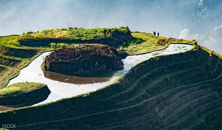 桂林龍脊梯田一日遊