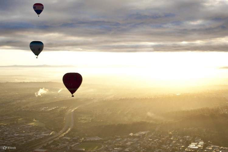 熱気球からの眺め