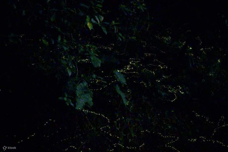 Yilan Camping｜Smile Bay Leisure Farm｜Esperienza di campeggio e camper senza tende