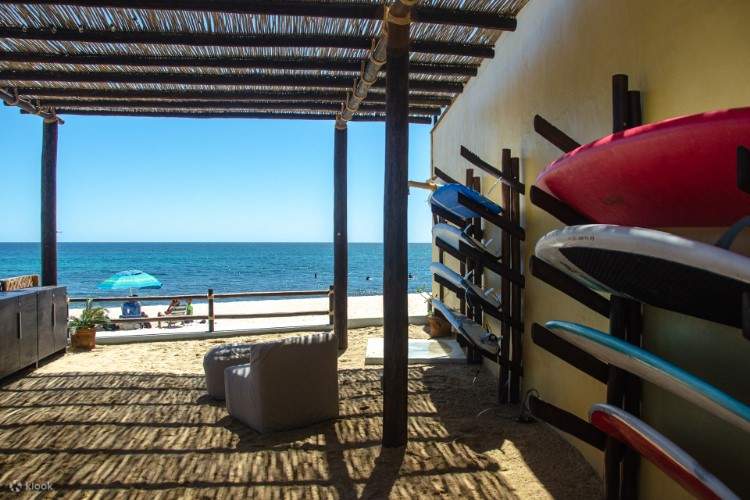 다양한 종류의 서핑 보드 중에서 실력에 맞는 보드를 골라보세요.