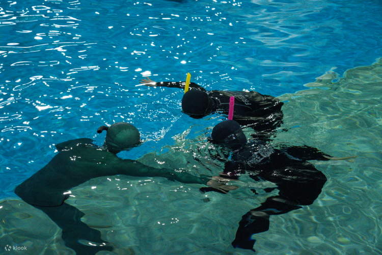 ประสบการณ์สุดพิเศษกับการเรียนฟรีไดวิ่งในสระว่ายน้ำที่สะอาดและถูกสุขอนามัย!