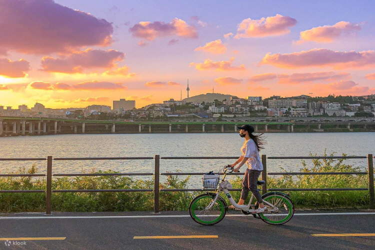 ソウル汝矣島の桜、漢江公園、サンセット クルーズ | Klook