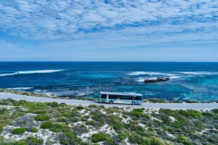 Tour dell'isola di Rottnest (guida giapponese) - Klook Stati Uniti