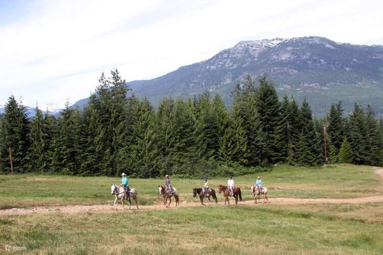 TwoHour Pemberton Valley Horseback Riding Experience Klook
