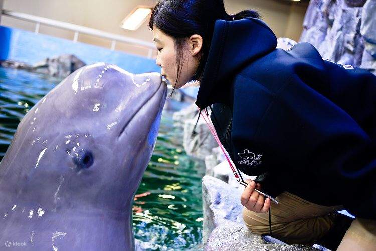 aqua-planet-ticket-in-yeosu-klook