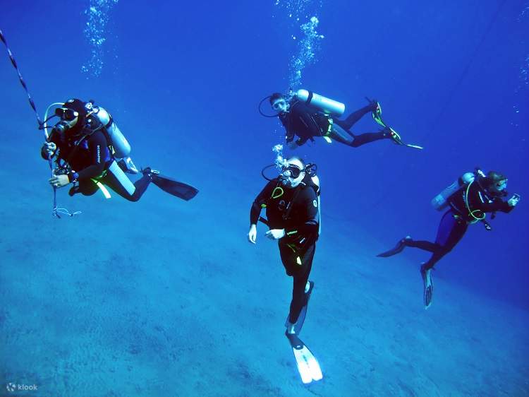 Explore the Depths 3 Dives Nusa Penida FullDay Dive Trip with PADI 5