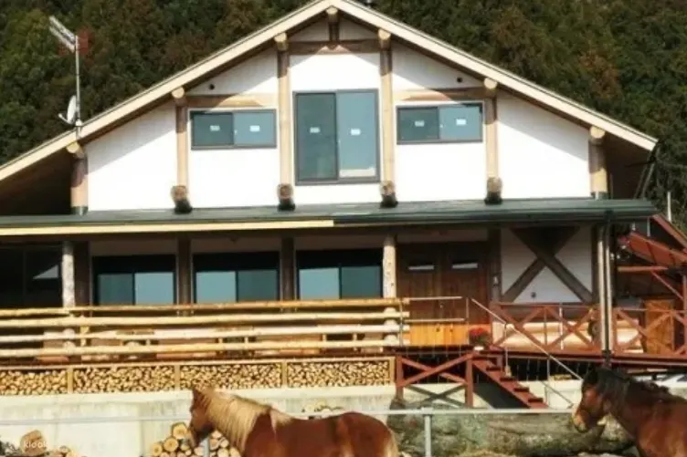 风来里马小屋