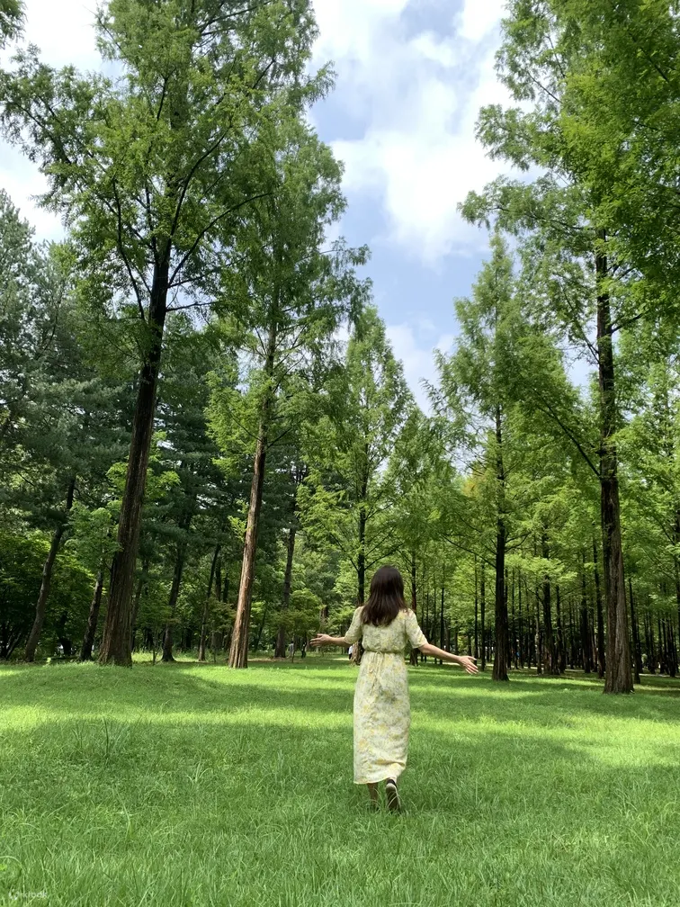 南怡岛门票