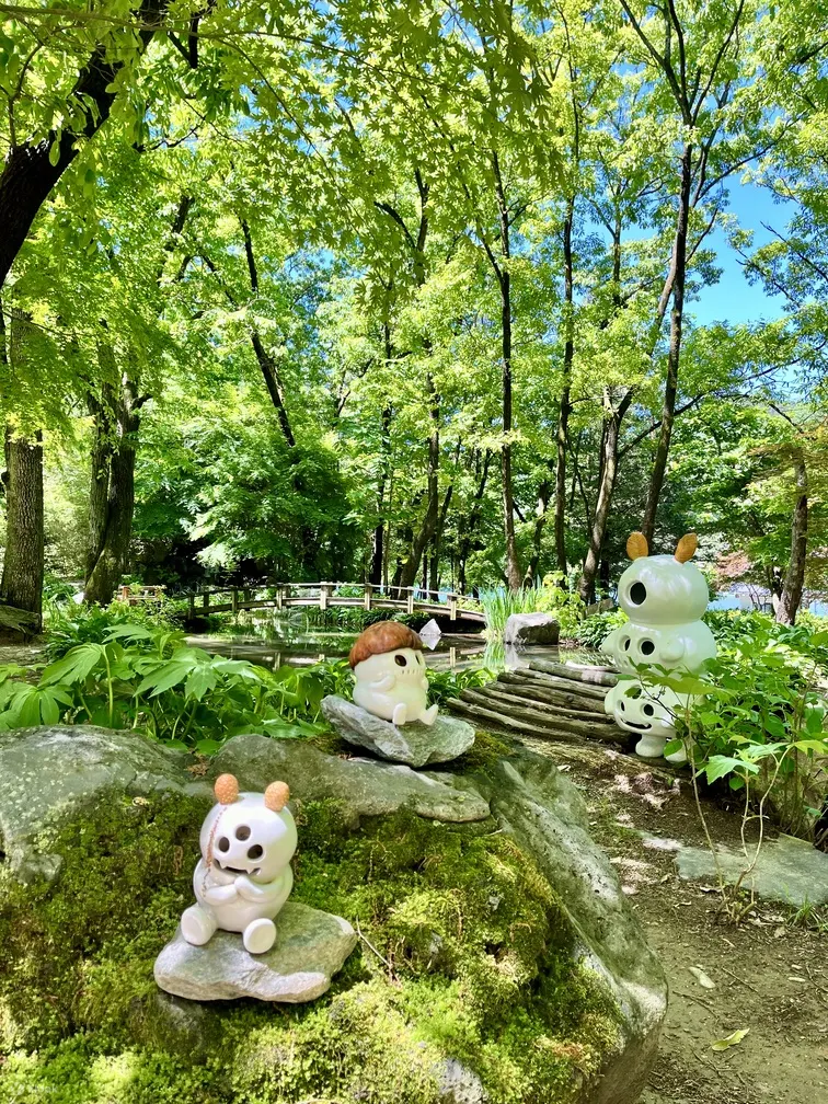 南怡岛门票