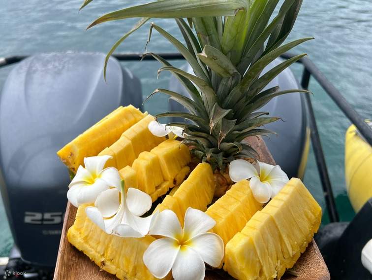 在凱阿拉凱誇海灣觀賞庫克船長紀念碑和海豚