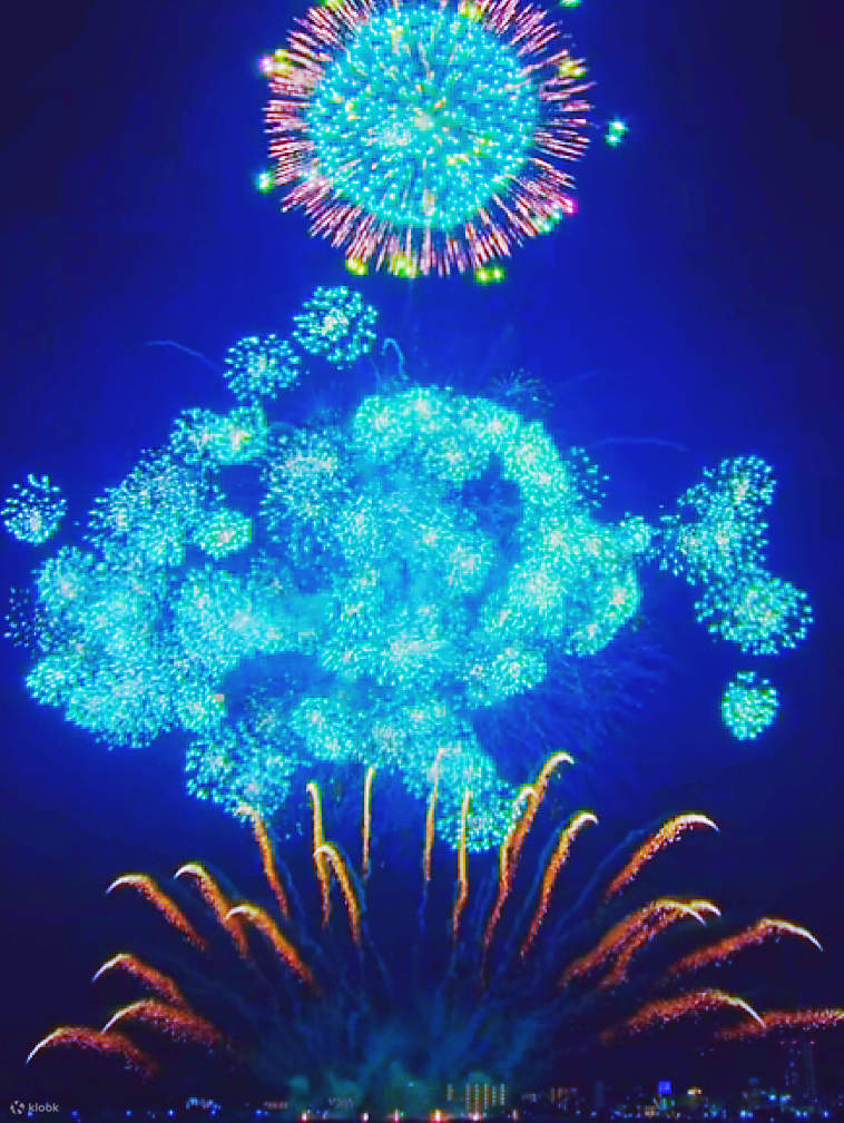 秋限定】2024土浦全国花火競技大会 日帰りツアー｜中国語・英語ガイド