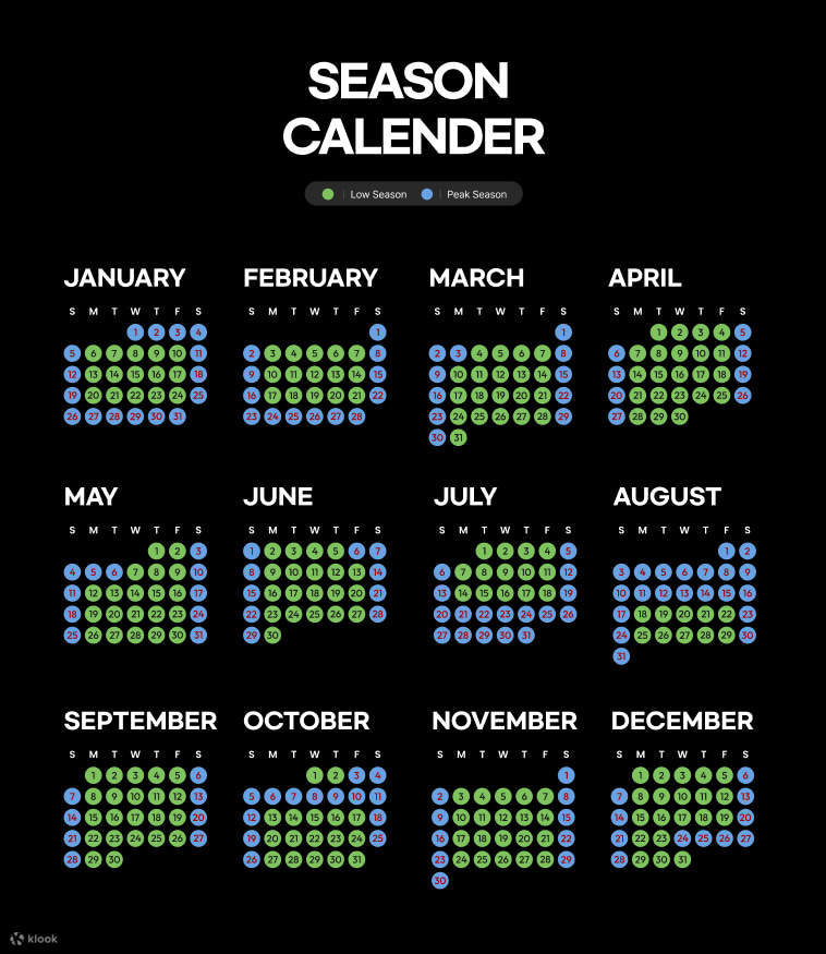 Билет в Smob by Sports Monster Goyang