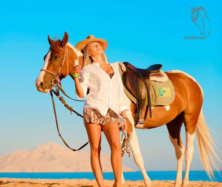 Sharm El Sheikh: Menunggang Kuda di Sepanjang Pantai dengan Pindahan