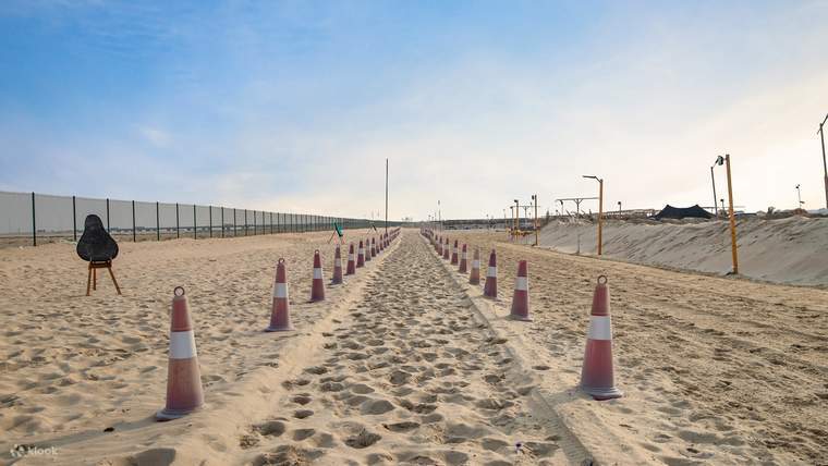 馬とラクダに乗って体験してみましょう