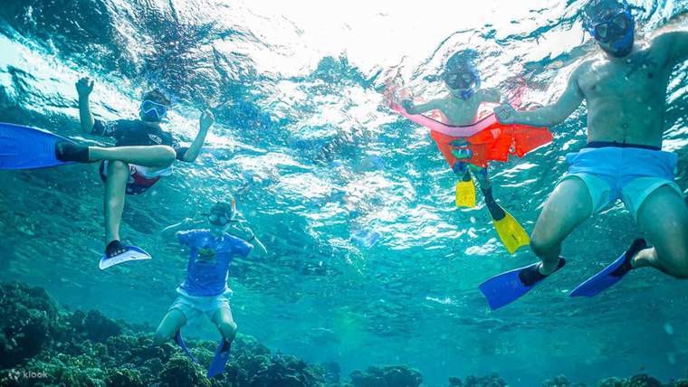 Pengalaman Snorkeling di Jeddah