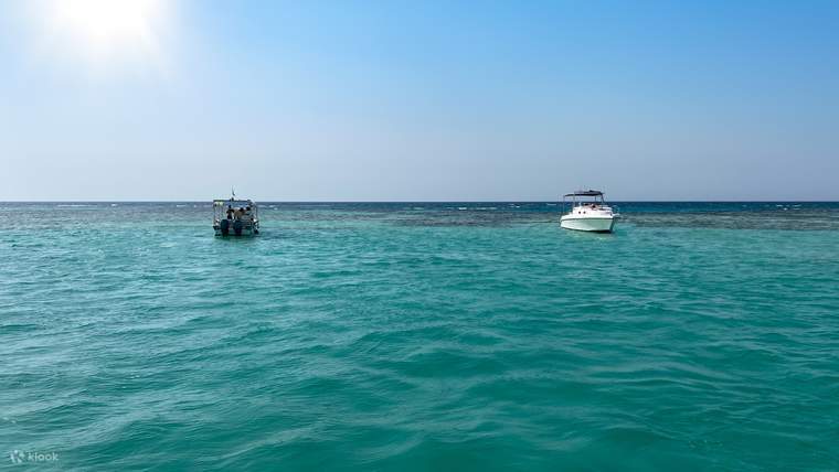 Cuba Selam Skuba di Laut Merah
