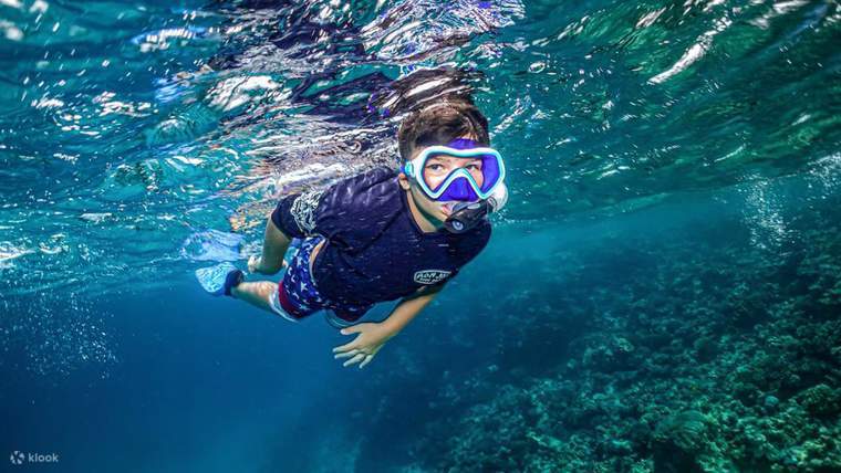 Pengalaman Snorkeling di Jeddah