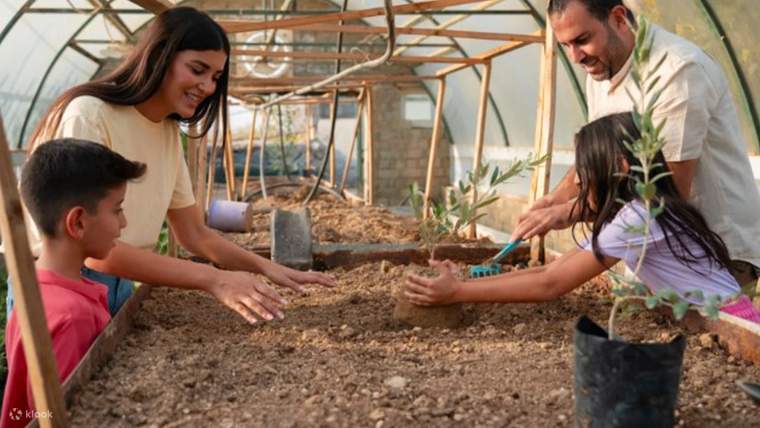 在巴哈云端漫步