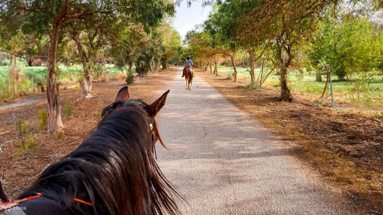 Explore Nature & Ride Horses in Riyadh