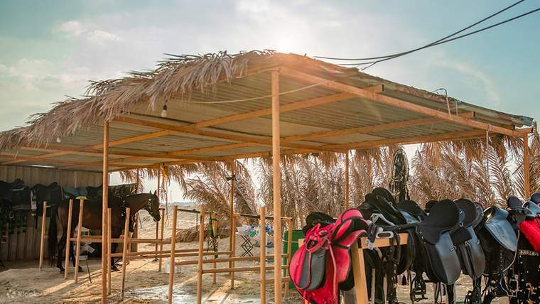 In sella per un'esperienza a cavallo e cammello
