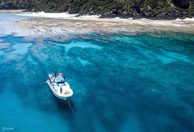 Geniessen Sie eine Fahrt mit unserem Doppeldecker-Schnellboot, ausgestattet mit Warmwasserduschen und Umkleideräumen für Taucher.