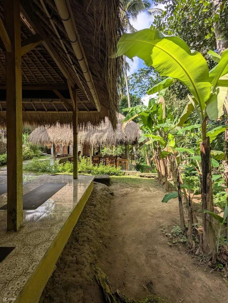 Retiro de luciérnagas de 7 días en Ubud, Bali