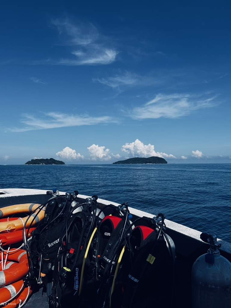 Pagsisid Tuklasin ang mga Kamangha-manghang Bagay sa Ilalim ng Dagat sa ...