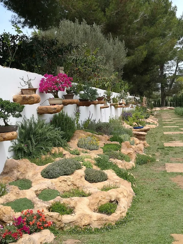 伊维萨岛生物技术植物园之旅