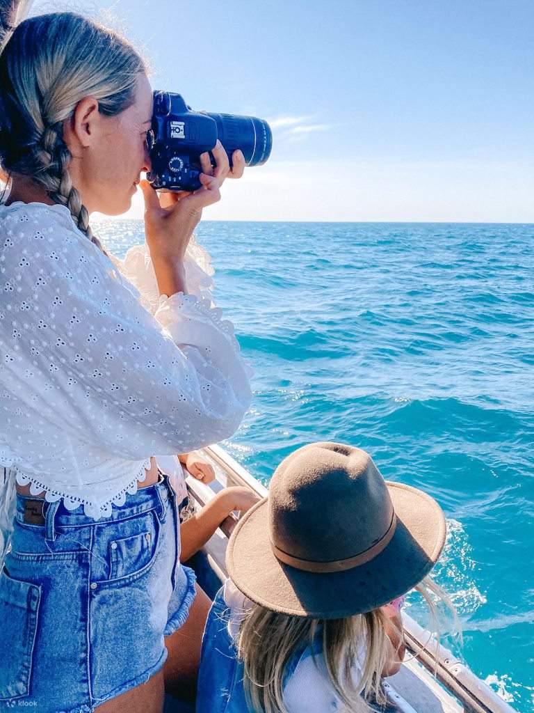 Subfin Croazieră la apus pentru delfini Snubfin din Broome - Klook România