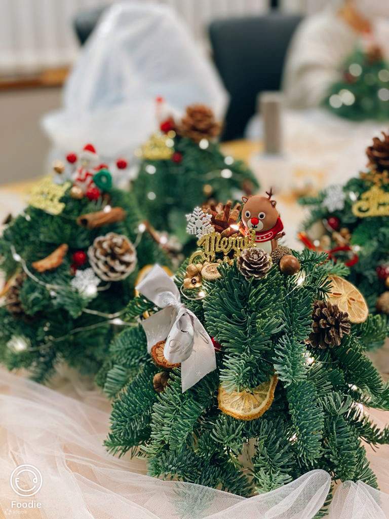 Мини-мастер-класс по созданию рождественской елки Myosotis Flower