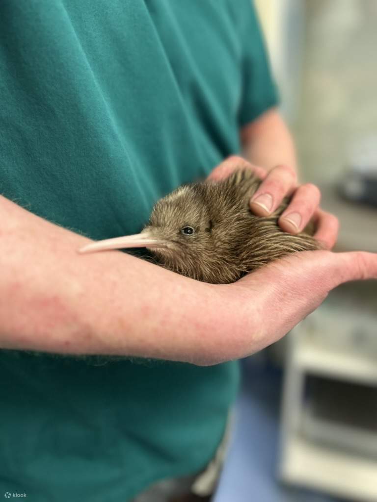 Vé Trung Tâm Động Vật Hoang Dã West Coast