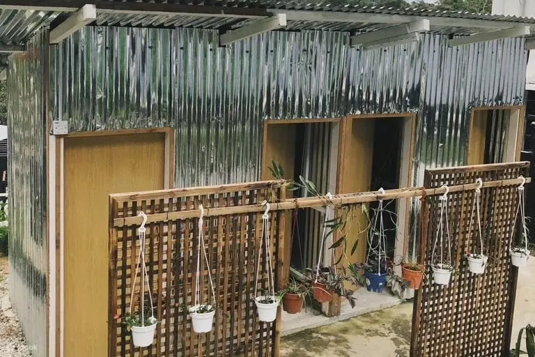 GlampingExperiencebyTheBackyardGlampingCameronHighlands.webp