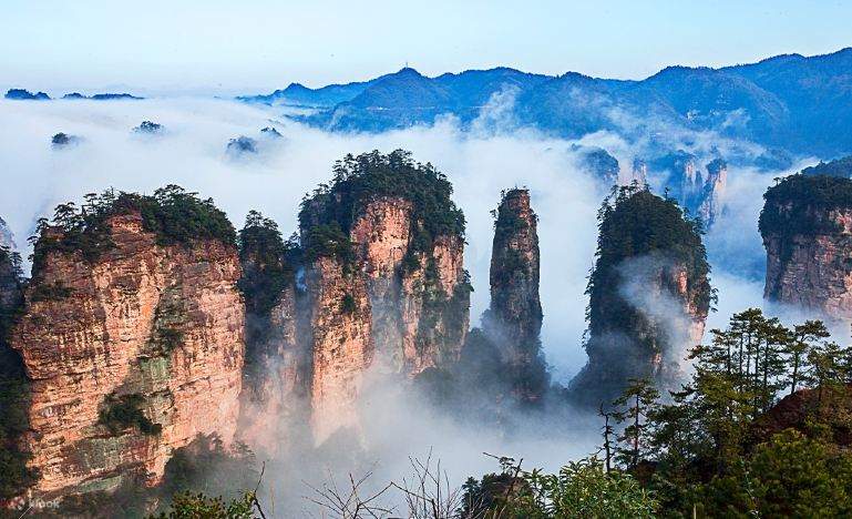 5-Day VIP Tour of Zhangjiajie, Hunan (Chinese and English Guides + VIP ...