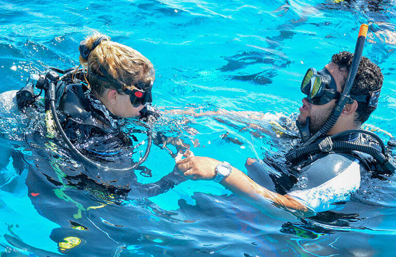 Disfrute de una experiencia de buceo confortable con equipos modernos e instalaciones completas.