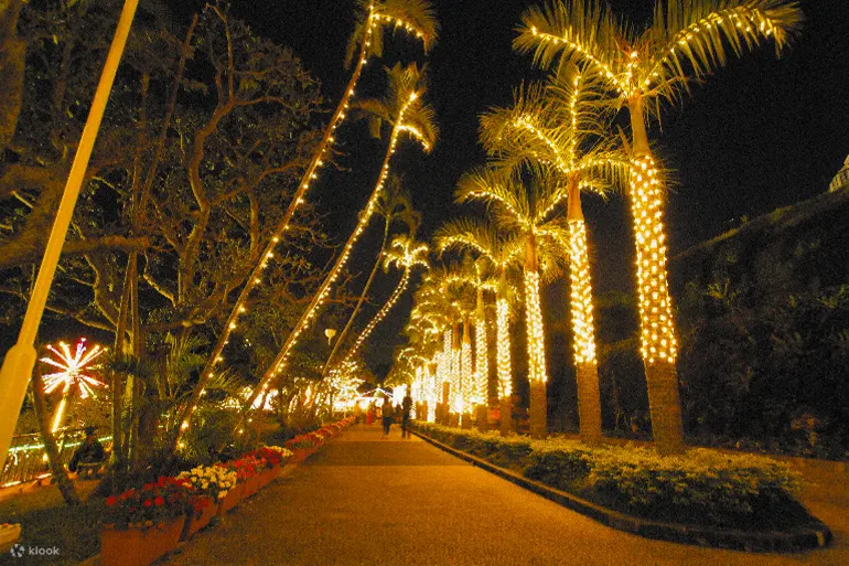 Okinawa Zoo & Museum Christmas Fantasy Ticket