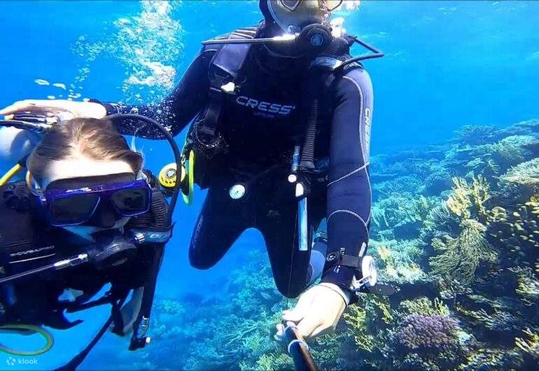 El buceo en Marsa Mubarak es apto para todas las edades y niveles.