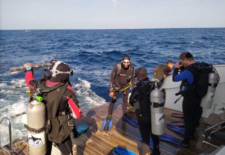 Marsa Alam - Tour đêm nhà cá heo Sataya 