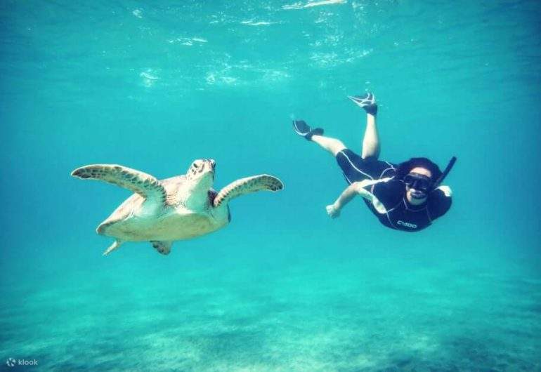 Хургада - Марса Мубарак: снорклинг с дюгонями и черепахами 