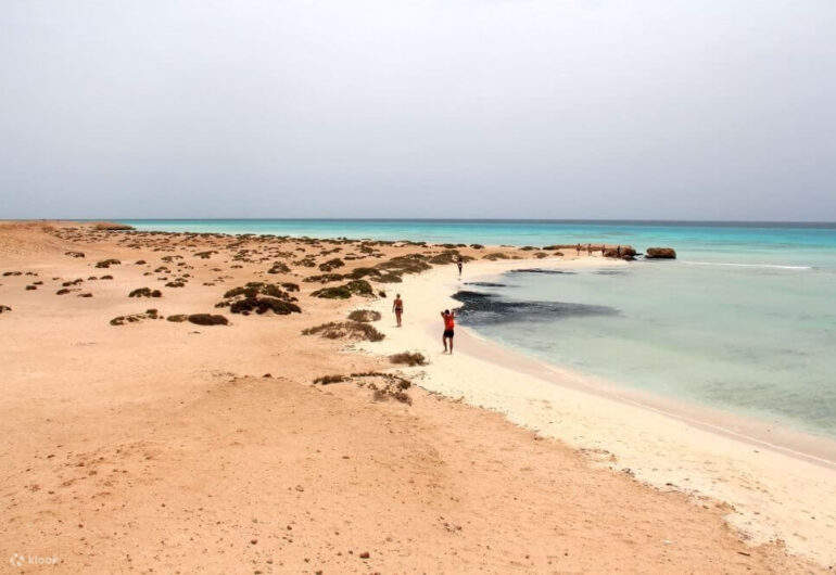Genießen Sie einen zauberhaften Ausflug zum Sharm El Luli Beach, der mit seinem kristallklaren Wasser und weißen Sandstränden zu den schönsten Stränden der Welt zählt.