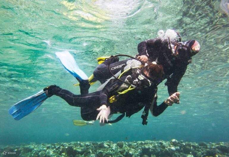 Instructores profesionales proporcionan instrucciones claras para que el buceo sea una experiencia segura y agradable.