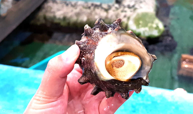 Jeju Sea Experience House Ticket - Klook Canada