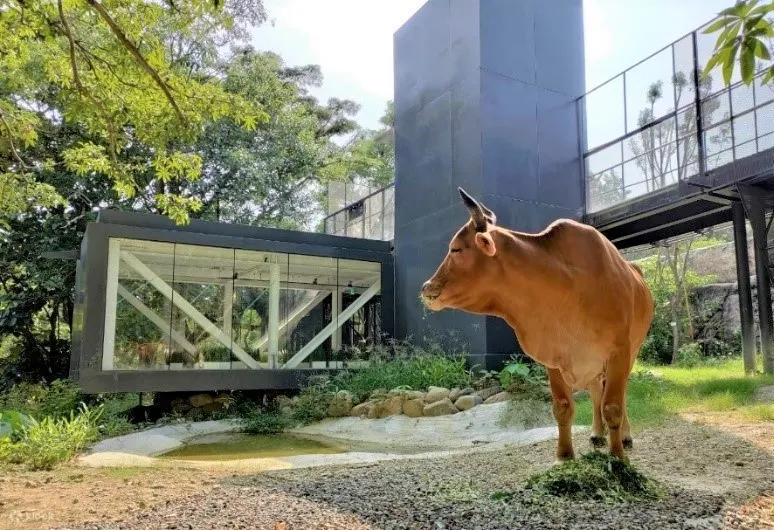 寿山动物园