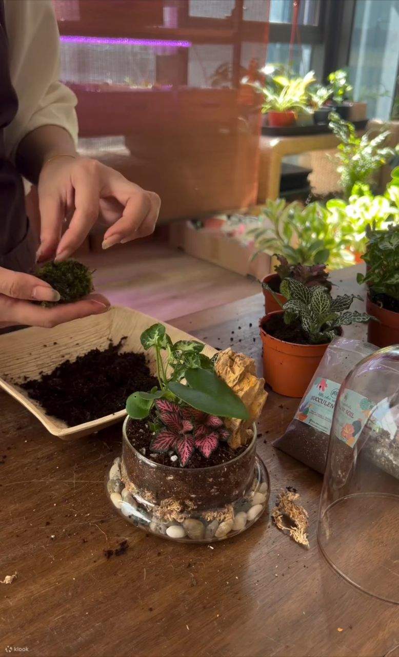 ミニチュアの世界を作ろう！お子様から大人まで楽しめる体験🌱